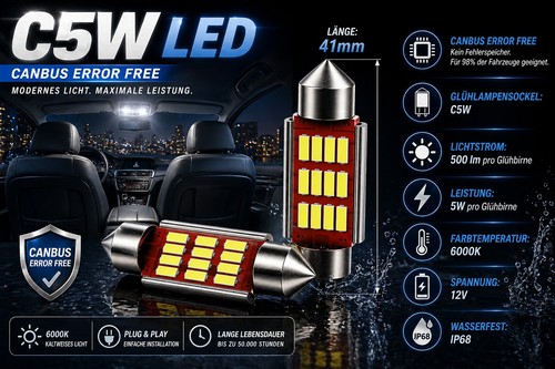 41mm 10w 5w 6000 - 2x,